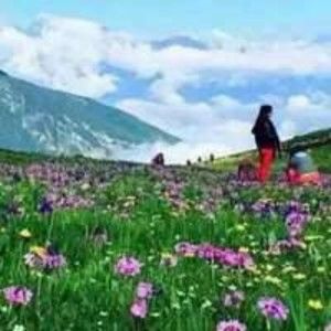 Meet your Posher, Hanna